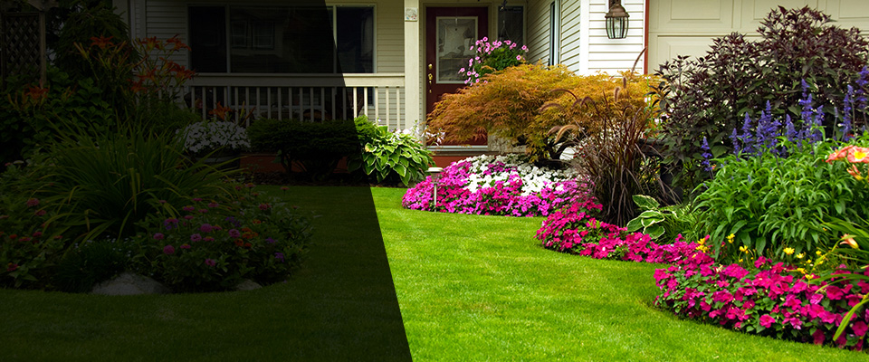 El Cerrito Landscapers