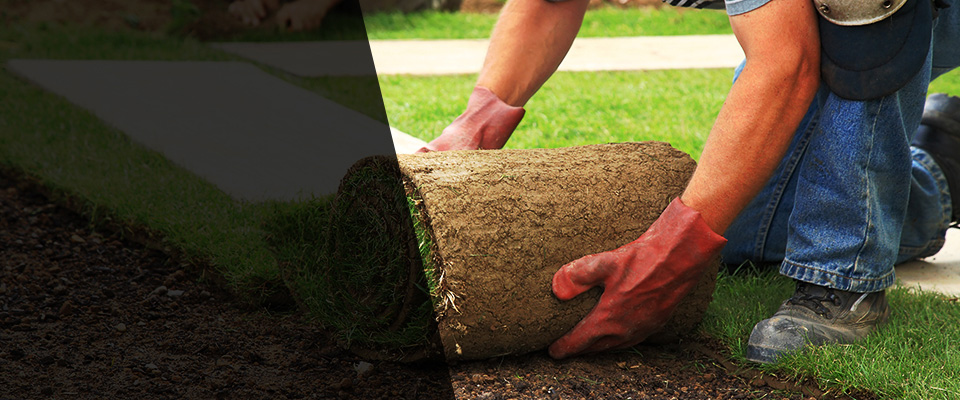 El Cerrito Landscapers